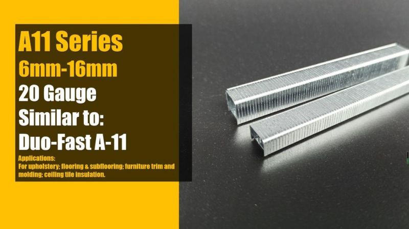 20ga A11/16mm Staples for Upholstery with High Quality Factory Supply