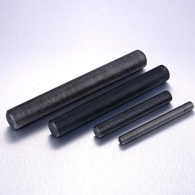 Black Thread /Half Thread Profession Fastener Supplier High Strength Chemical Anchor Bolt