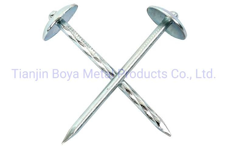 Hot Sale Twisted Shank Umbrella Head Roofing Nails Low Price