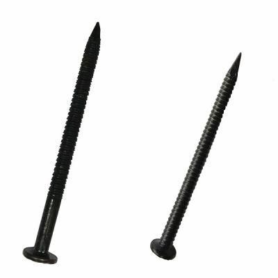 Black Nail Ring Shank Nail Iron Nails Factory Price