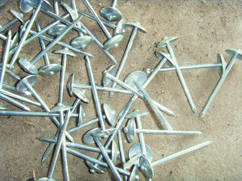 Factory Supply Galvanized Roofing Sheet Nails Hot Sale Twisted Shank Umbrella Head Roofing Nails