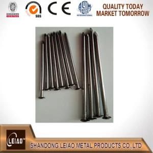 Wire Nail /Common Nail Bright Polished