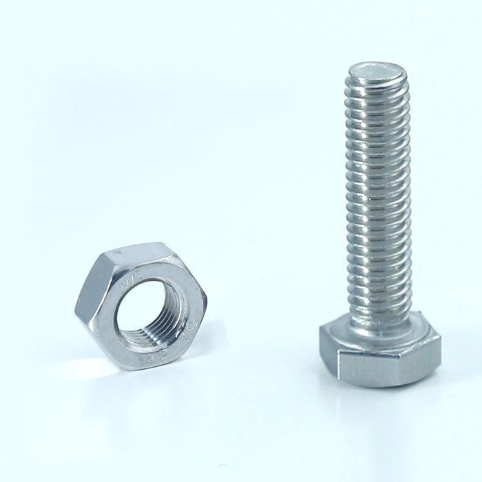 Custom Fastener Stainless Steel Hex Bolt Nut and Washer DIN933 DIN931