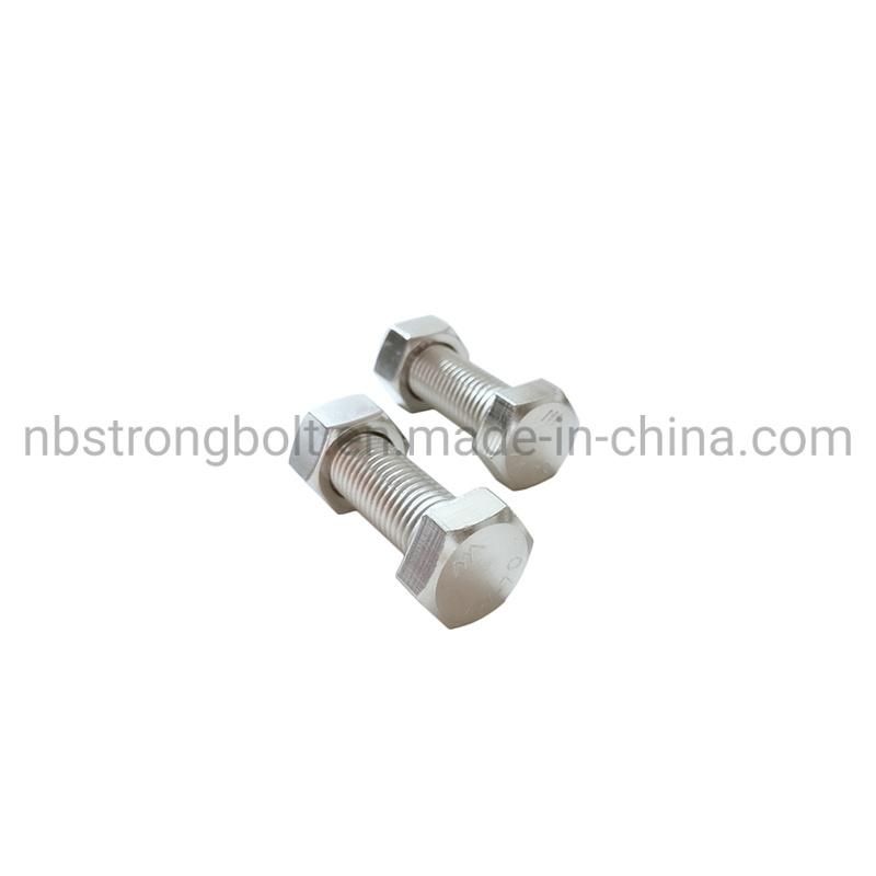 Stainless Steel SS316 Hex Bolt Nut