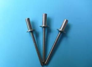 Auto Metal Parts Rivet