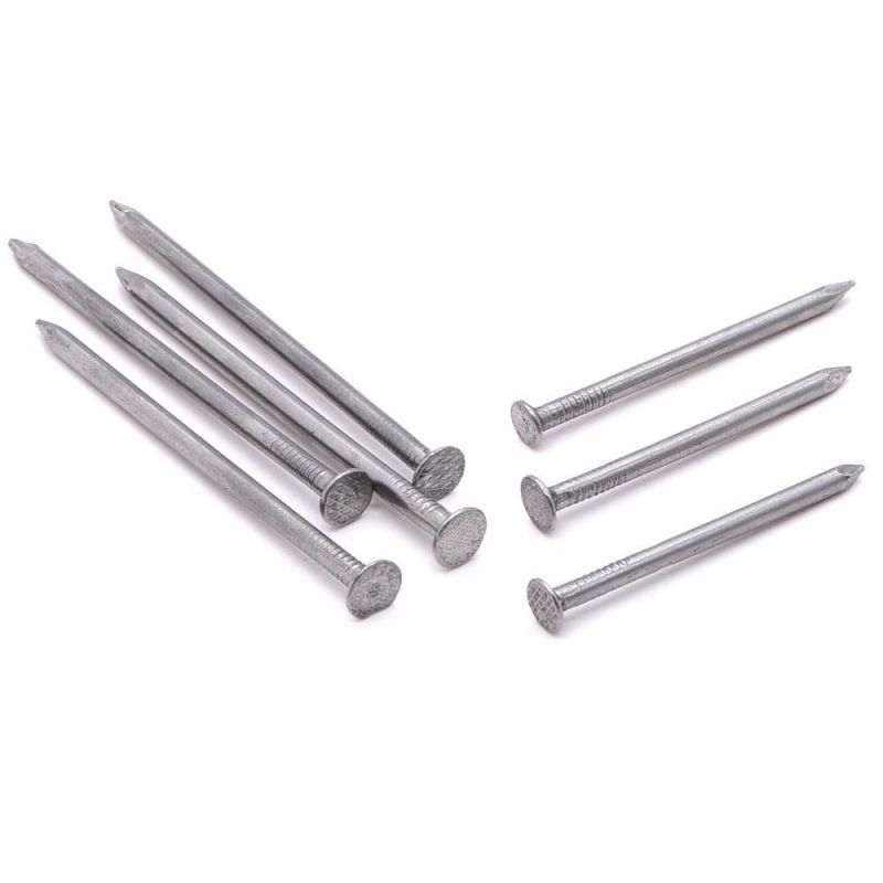 Common Iron Nail Common Nail for Construction Common Wire Iron Nail