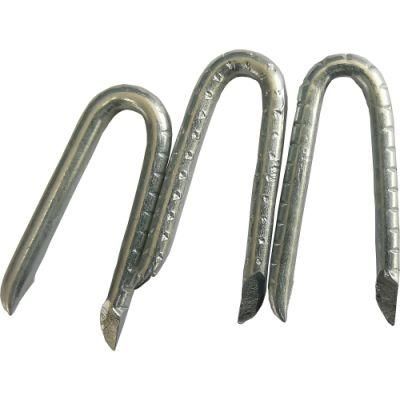 U Type Nail U-Type Nail Wire Nail Price Galvanized U Type Fence SOD Staple / U Type Wire Nail