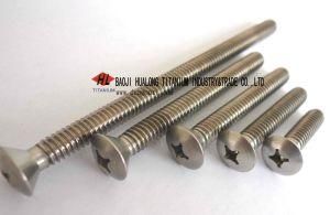 Titanium Cross Recessed Oval Countersunk Head Screw (HL37)