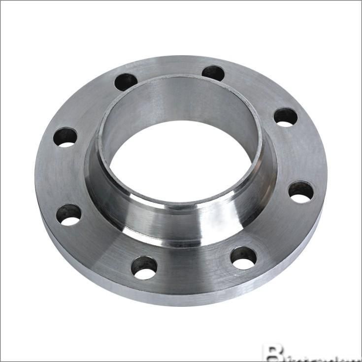 Stainless Steel Welding Neck Flanges (YZF-F163)