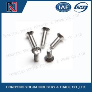 GB820 Stainless Steel Cross Recessed Raised Countersunk Head Screw