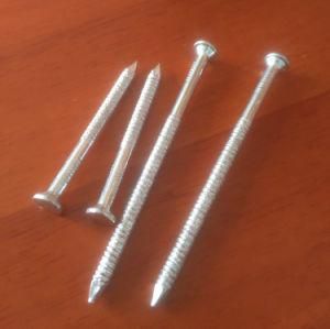 2&quot; Galvanized Ring Shank Nail