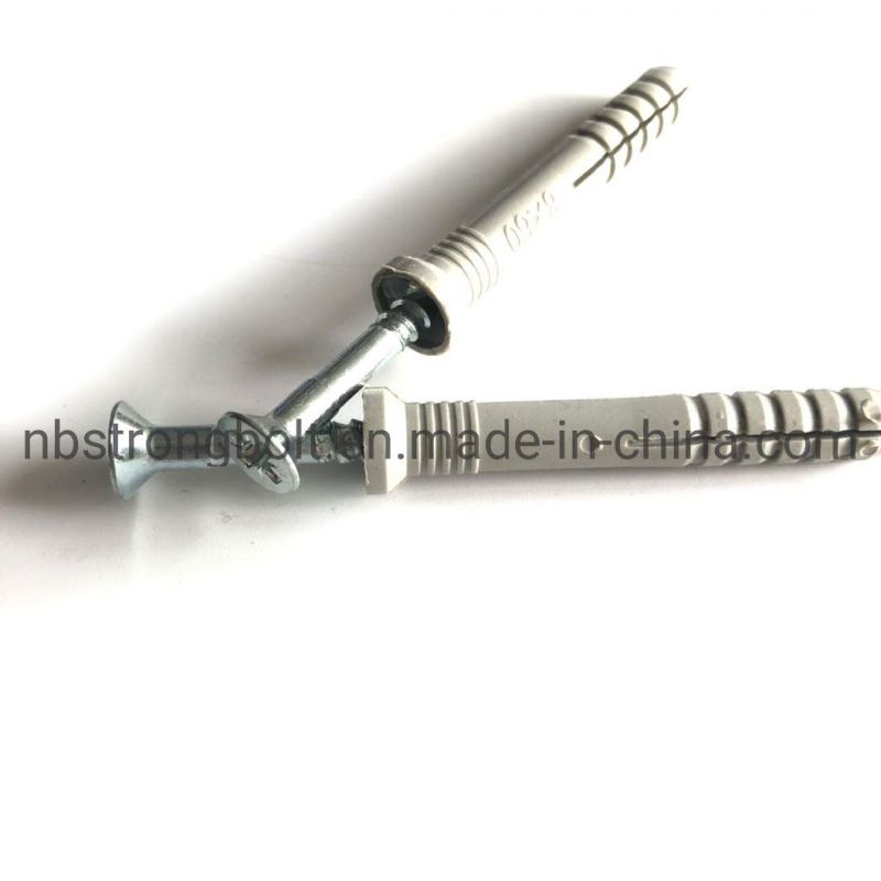 Nylon Hammer Drive Fixing Anchor Screw with Nail More Than 10 Years Produce Expricence Factory