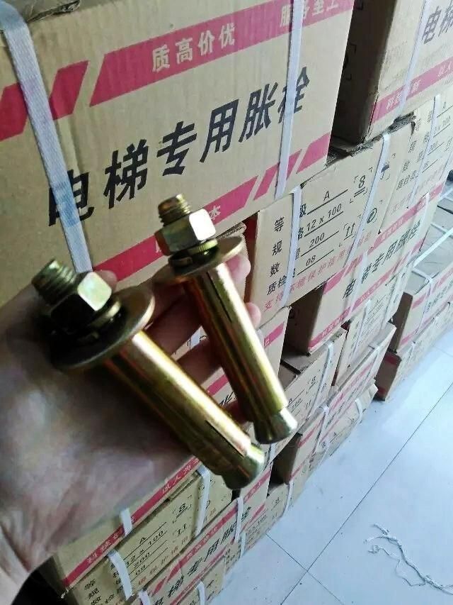 Carbon Steel Elevator/Lifting Galvanized Expansion Anchor Bolt