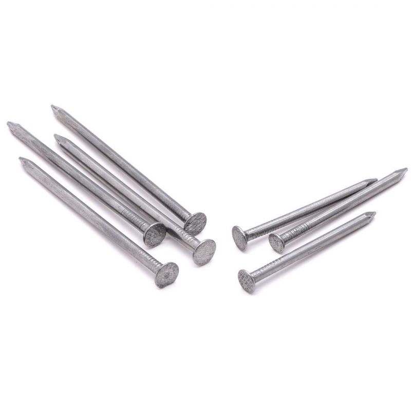 Common Wire Nail Quality Flat Head Common Nails Common Wire Nail Material