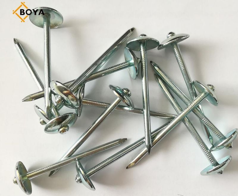Roofing Nails Nail Iron Nail Roofing Nails Iron Material Q235 and Galvanized Roofing Nail with Umbrella Head