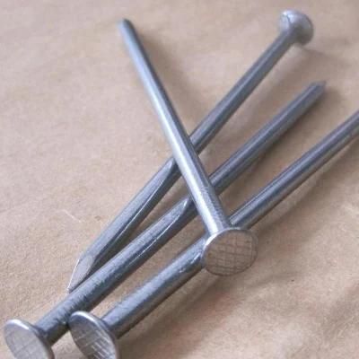Manufacturer Wholesale High Quality Common Iron Nail