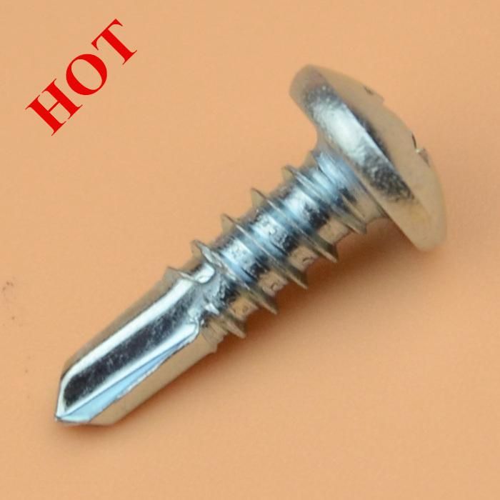 Screwself Drilling Screw /Tek Screw /DIN7504 Drill Point Screw Roofing Screw