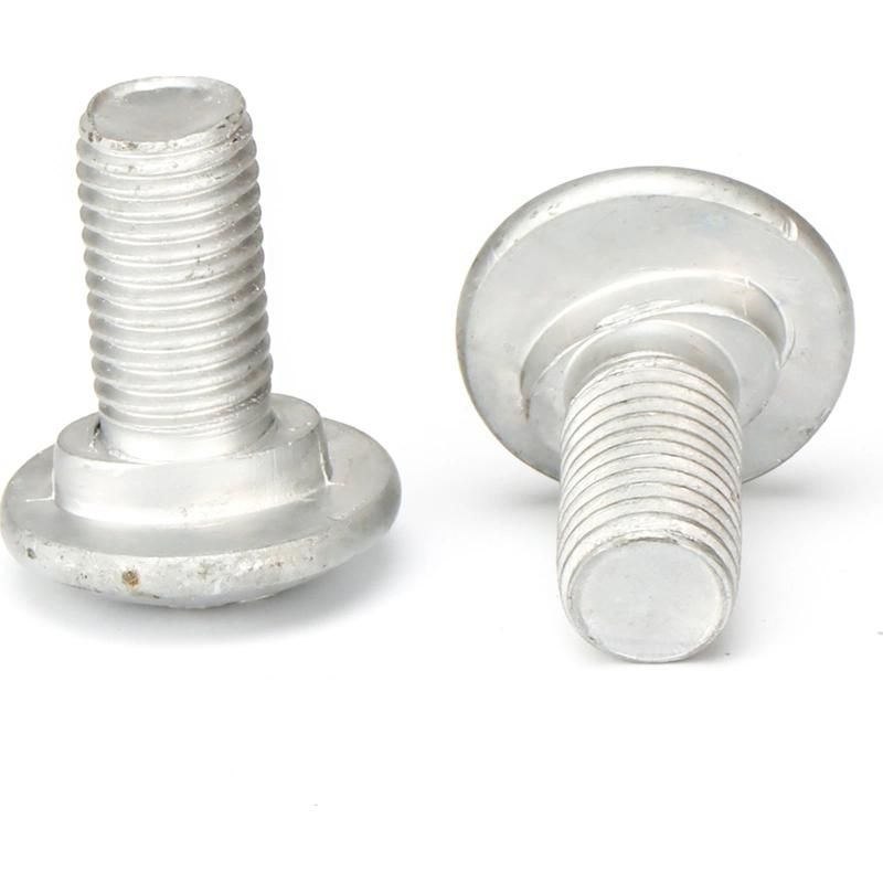 Guard Rail Bolt Hot DIP Galvanised H. D. G. Round Head Bolts