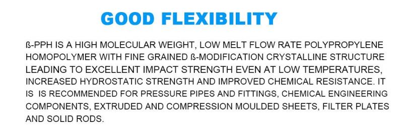 Green Environmental Protection Material of Pph Pipe Fittings Van Stone Flange