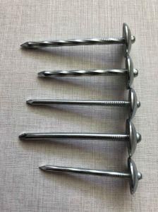 Umbrella Head Roofing Nails Galvanized