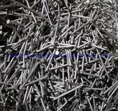 Common Iron Nails/Building Nail/Polished Nail/Galvanized Nail/Wood Nail Factory Price