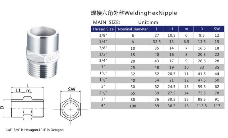 Stainless Steel Screw Pipe Fitting Manufacturer in China