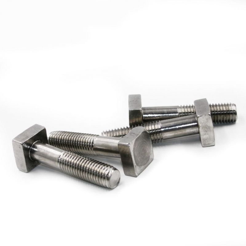 DIN 21346 Grade A2 A4 Stainless Steel M16, M20, M24, M30 Square Thread Bolt Flat Square Head Bolt