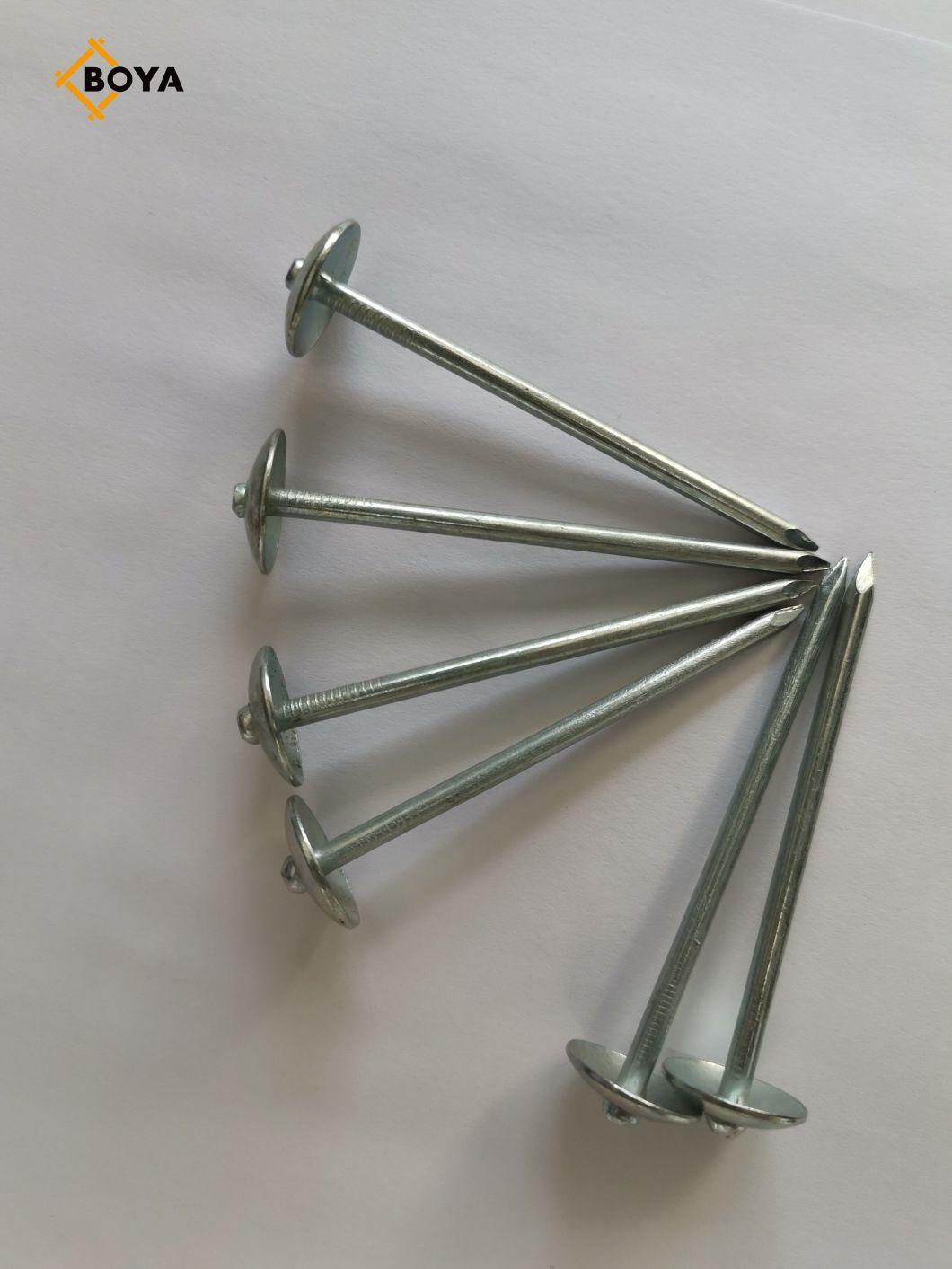 Harden Steel Umbrella Head Roofing Nail with Factory Price
