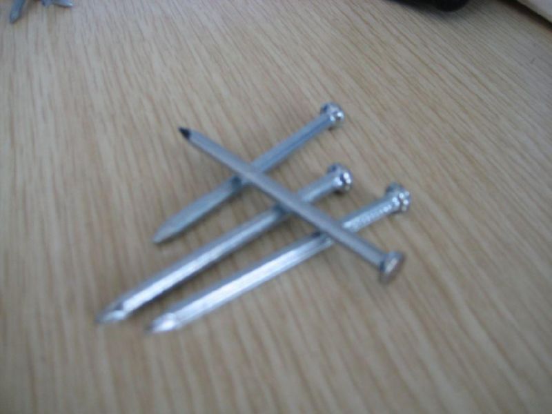 Galvanized Cement Steel Nail, Galvanized Nails, Concrete Nail