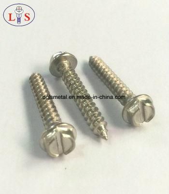 Stainless Steel Screw Manufacturer with High Quality