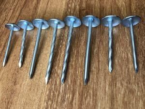High Grade Q195/Q235 Material Corrugated Shank Roofing Nails