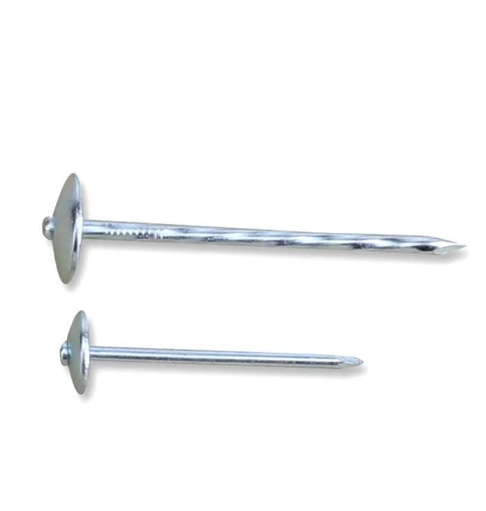 Bwg9X2.5" Galvanized Roofing Nail with Umbrella Head