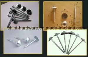 1&prime;&prime;-6&prime;&prime; Inch Roofing Screw Nails with Good Price