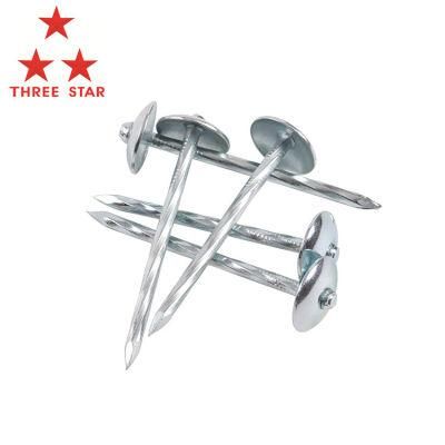 Galvanize Umbrella Head Roofing Nails Corrugated Nails