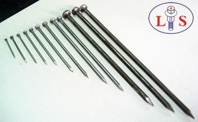 Piton/Iron Nail/Wire Tack with High Quality