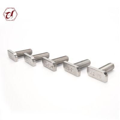 A2 A4 A2-70 A4-70 Non-Standard Stainless Steel Customized T Bolt