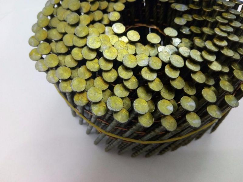 Wire Collated Coil Nail for Making Wooden Pallet and Frame in Size 2.5mm X 65mm