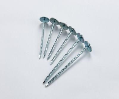 Screw Shank Galvanized Roofing Nail with Umbrella Head for Building and Connect