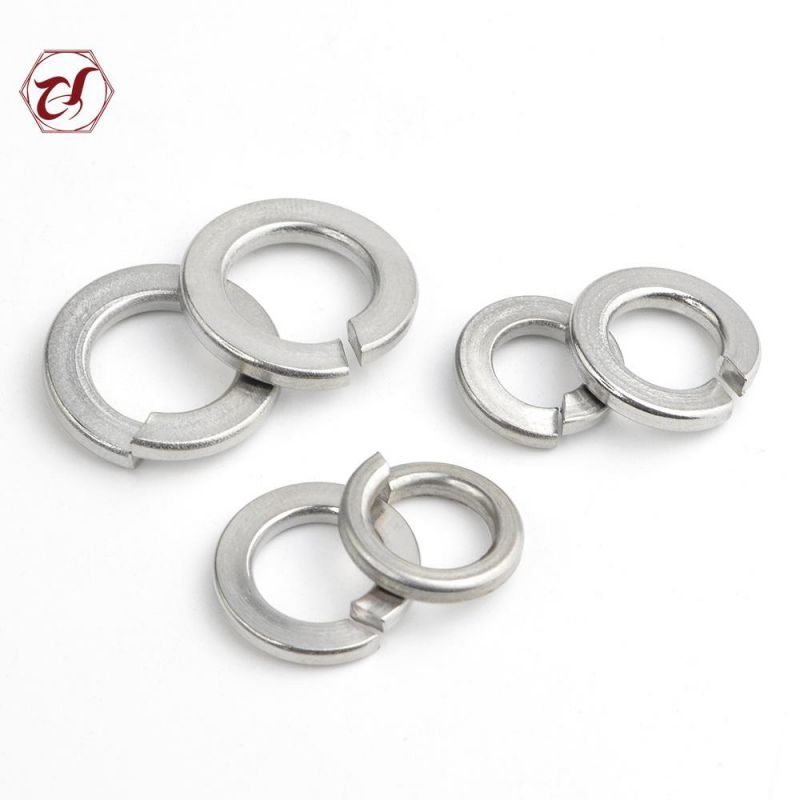 M10 SS304 Spring Washer