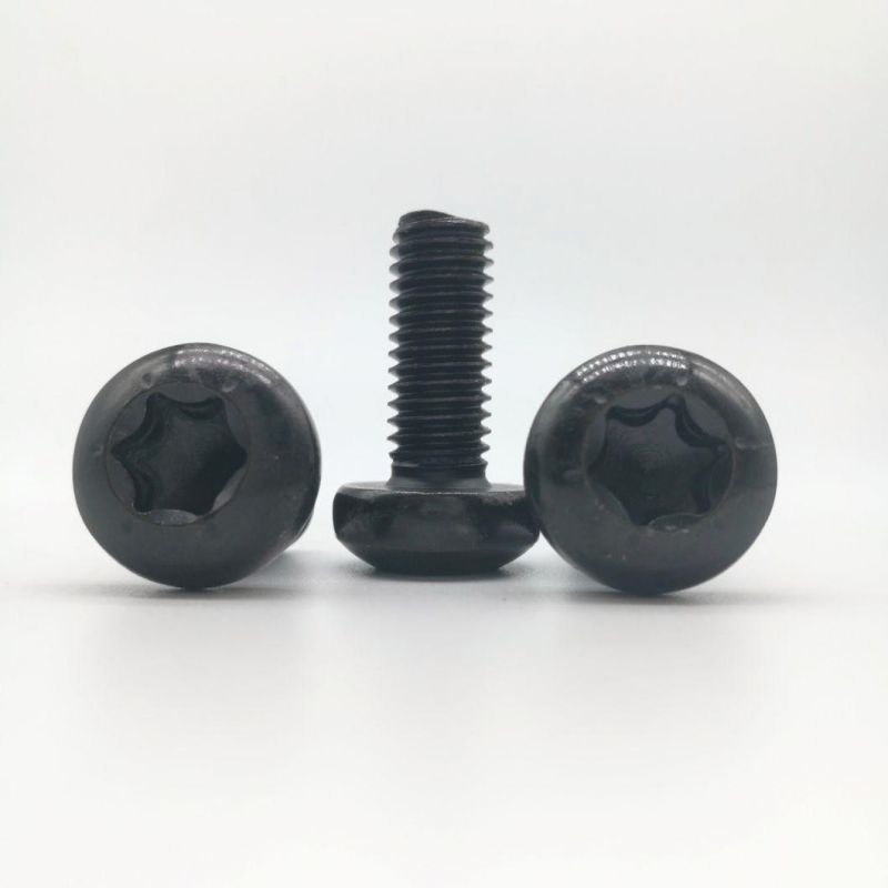 Hex Socket Pan Head Drive Self Tapping Screw Machine Screw