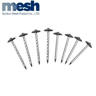 Twisted Shank Electro Galvanized Umbrella Roofing Nails