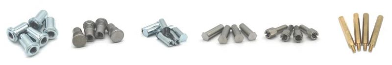 316 Stainless Steel Threaded Standoff Nut Hardware for Car Accessories