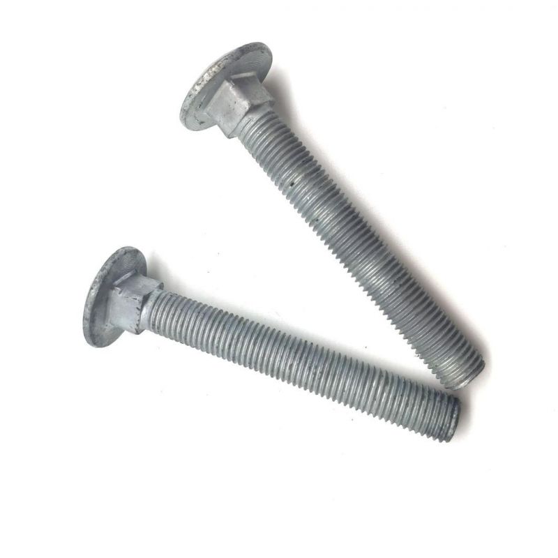 4.8grade/8.8grade Zinc Plated Carriage Bolt DIN603