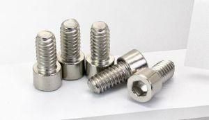 Stainless Steel Hexagon Socket Screw, Head Not Knurled, Bald Hexagon Socket Screw