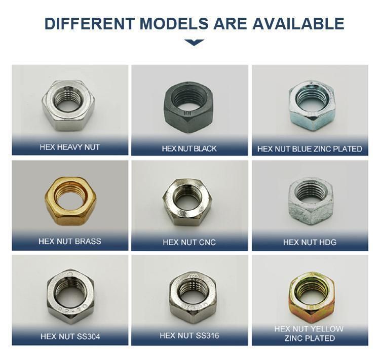 China Supplier Hex Nut, Flange Nut, Heavy Hex Nut, Hex Cap Nut, Round Nut, Slotted Nut, Square Nut Lock Nut Cage Nut T Slot Nut,K Stainless Steel Nut,Brass Nut