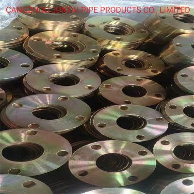 High Quality ASTM A105/A403 Forged Stainless Steel/ Carbon Steel Flange China Manufacturer