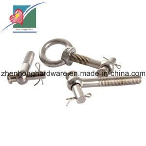 Professional Factory Direct Fastener Good Using Swing Bolts
