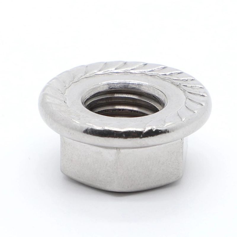 Fastener DIN6923 SUS304 SUS316 Hexagon Nut M5 M6 M8 M10 Stainless Steel Flange Nuts with Serrated