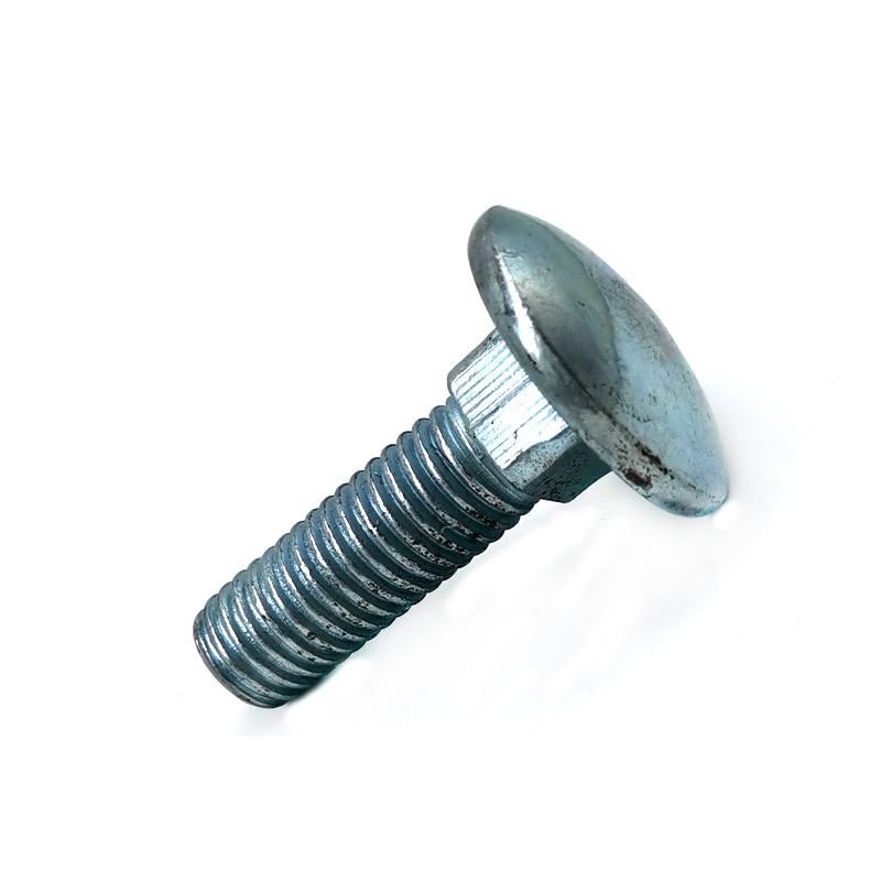 Asme B18.5 Zinc Plated Round Head Square Neck Carriage Bolt