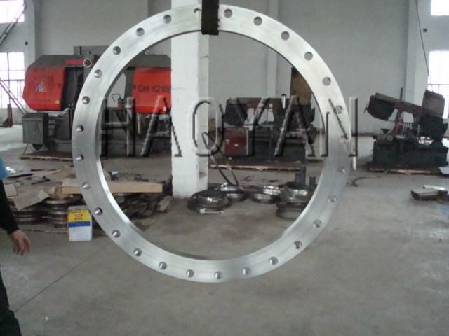 Customers′ Designs for Forging Flange, Private Custom Forged Flange